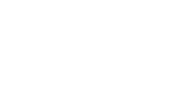 다이렉트 넷 logo